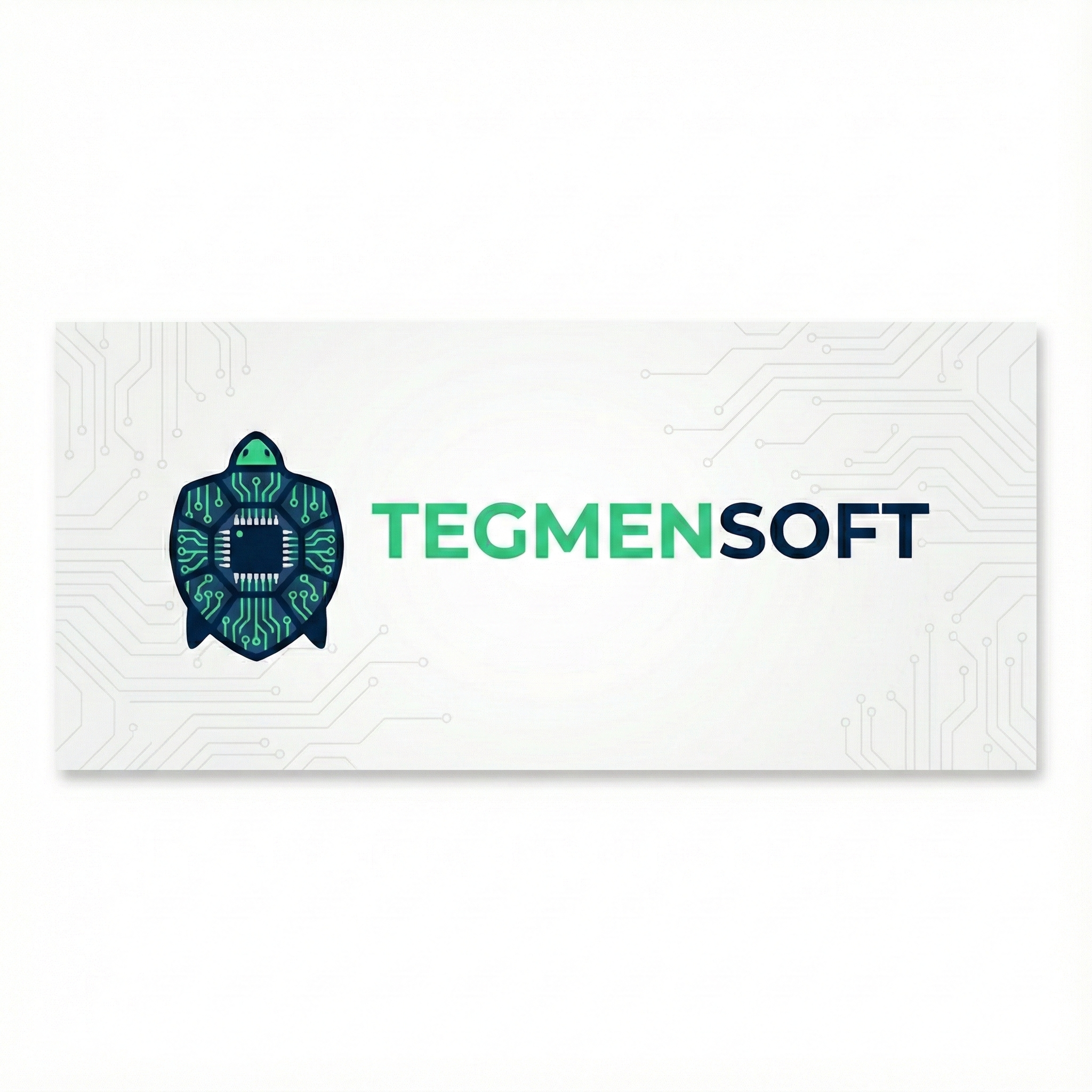 TegmenSoft Logo